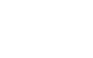 Trizella Logo